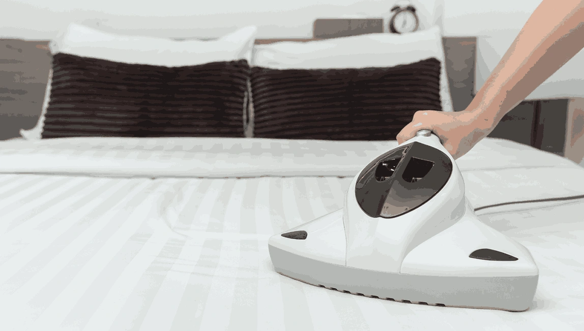 Professional Mattress Cleaning Cardigan